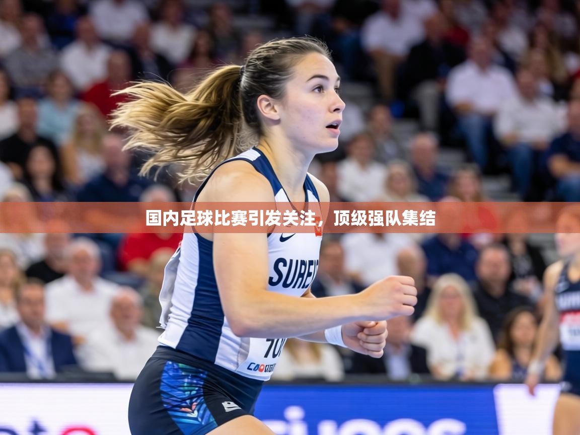 国内足球比赛引发关注,顶级强队集结 第2张