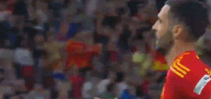 关于波兰破门得利，绽放欧国联成功之光的信息