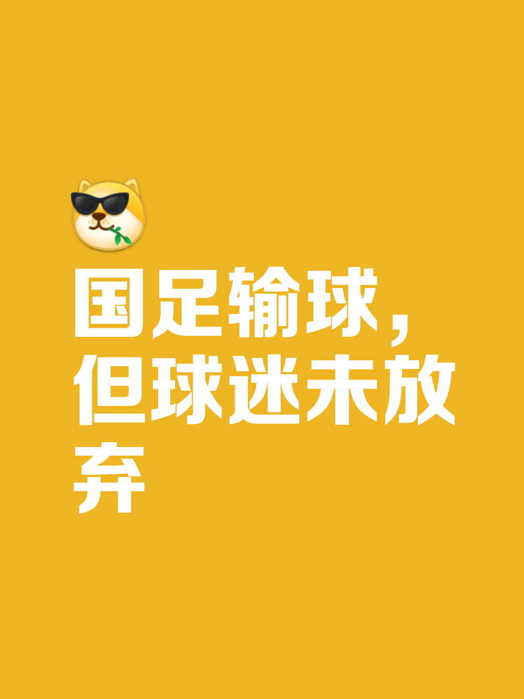 关于国家足球队逐鹿赛场，青春飒爽斗志高昂的信息