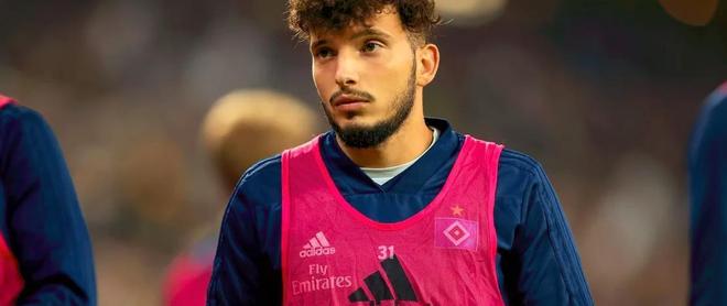 九游体育-汉堡队引进外教传授先进战术理念的简单介绍